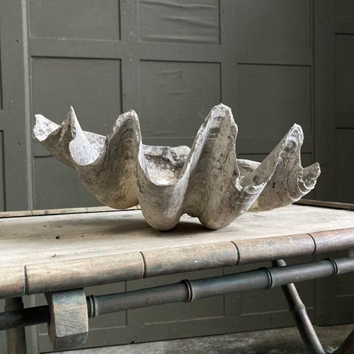 Large Antique Clam Shell