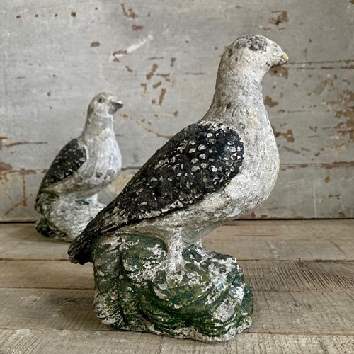Pair Of Vintage Stone Pigeons
