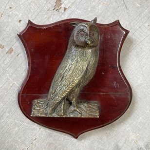 Edwardian Bronze Owl Plaque