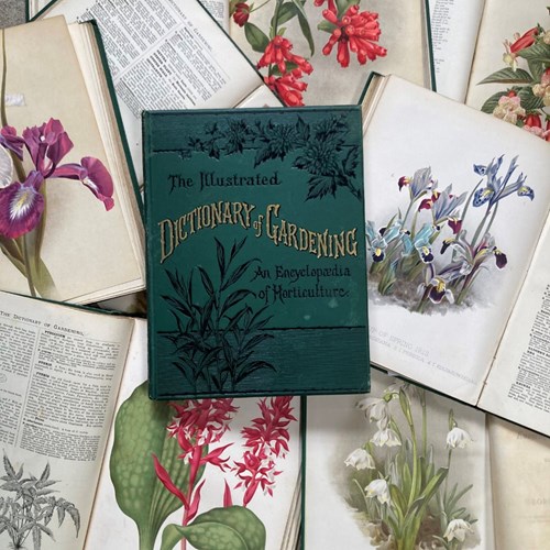 Illustrated Dictionary Of Gardening Books