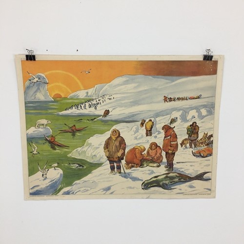 French Rossignol Vintage Wall Chart – Arctic