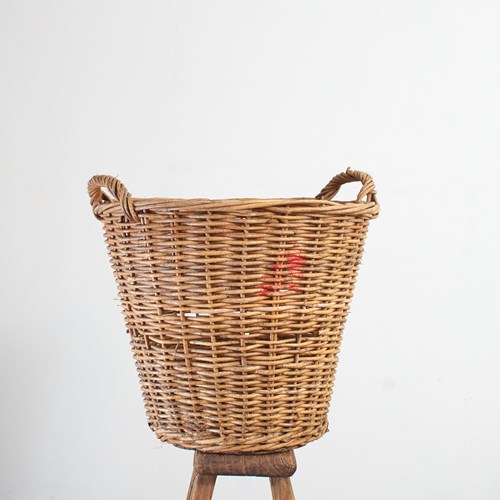 Vintage Champagne Harvest Log Basket – B
