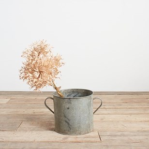 Vintage Galvanised Bucket Garden Pl...