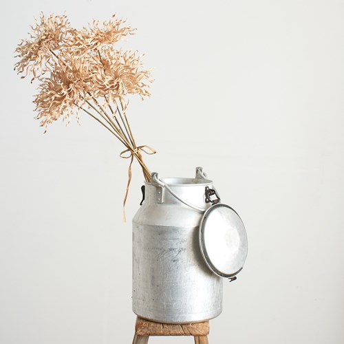 Antique Aluminium Milk Churn – Small