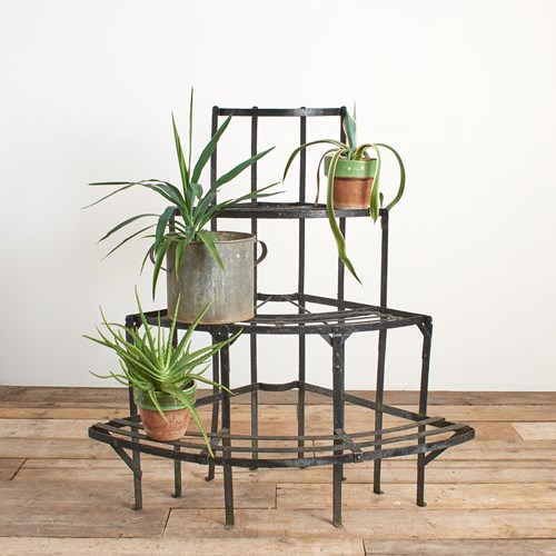 Antique French Wrought Iron Tiered Plant Stand
