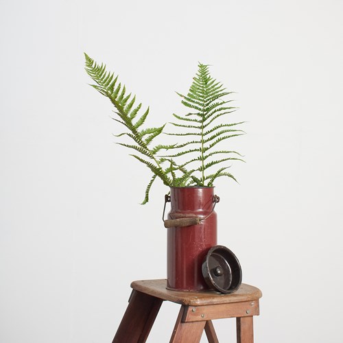 Medium Brown Vintage Enamel Milk Churn – BO