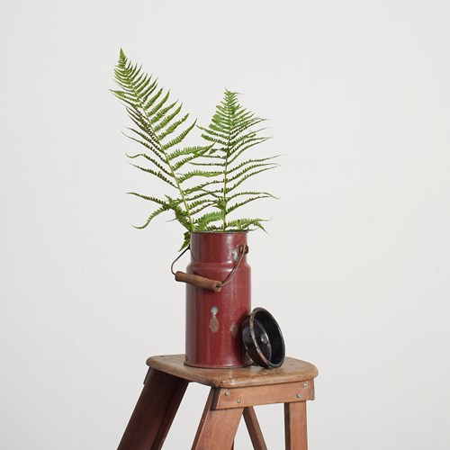 Medium Brown Vintage Enamel Milk Churn – BP