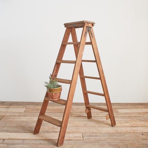 Antique Library Stepladders