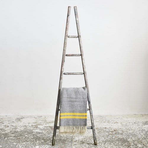 Large Antique French Fruit Picking Ladder -K