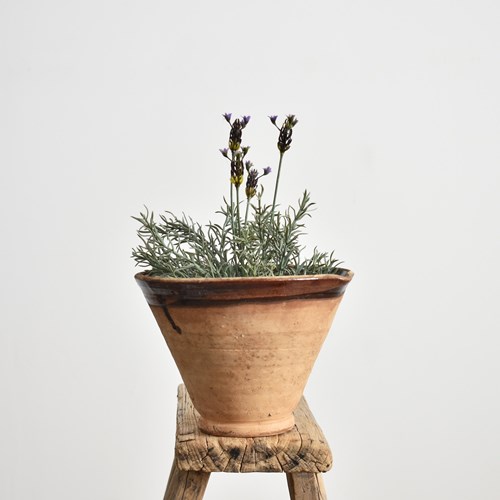 Brown Vintage Terracotta Slipware Pot Medium