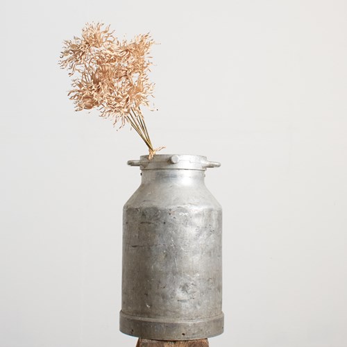 Antique Aluminium Milk Churn