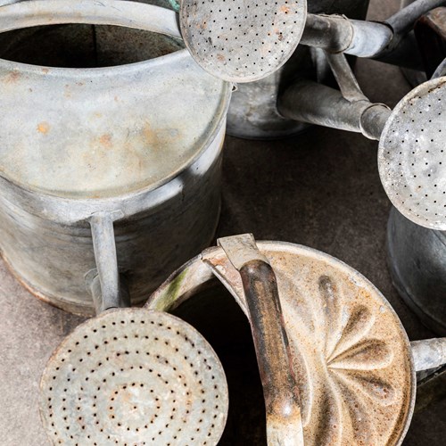 1950'S Original Vintage Galvanised Watering Cans