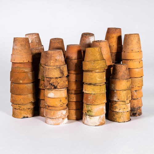 20Th Century Vintage Terracotta Garden Pots Small - Set Of Thirty