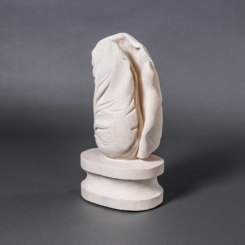 Contemporary Sweetheart Cabbage - Marcia Bennett-Male