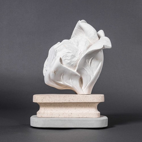 Contemporary Chalk Pit Cauliflower - Marcia Bennett-Male