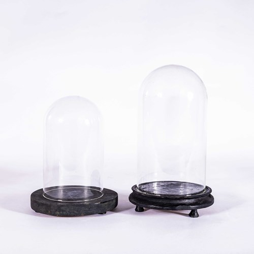  1940'S New Old Stock Taxidermy Domes - Pair