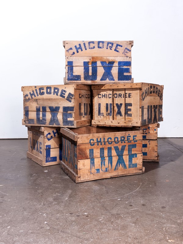 1940's Chicoree Luxe  Storage Wooden Crate-merchant-found-659-main-637079487126855349.jpg