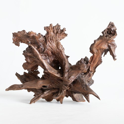Gnarly Acacia Root Sculpture
