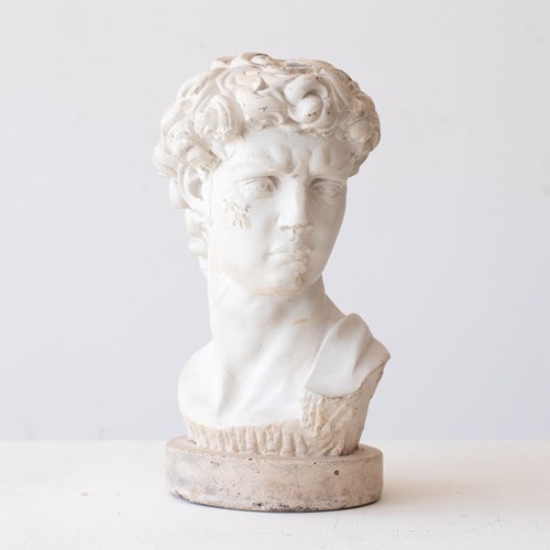 Plaster Bust Of David