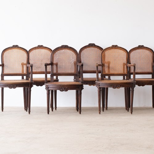 Louis XVI Style Carved Chairs