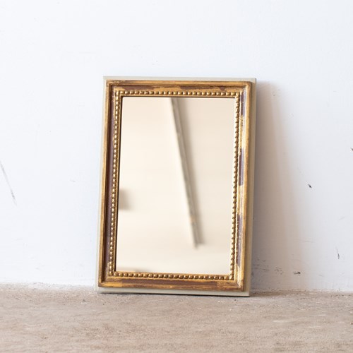 French Gilt & Painted Mirror