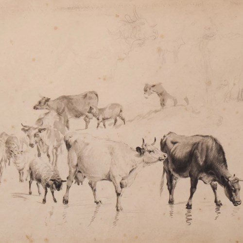 Study Of Cattle And Sheep – Thomas Sidney Cooper Or Follower