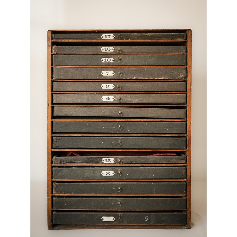 Zoological or Collectors Chest of Draws-modern-decorative-1053-04-zoological-chest-of-draws-1-square-main-638037723418889371.jpg
