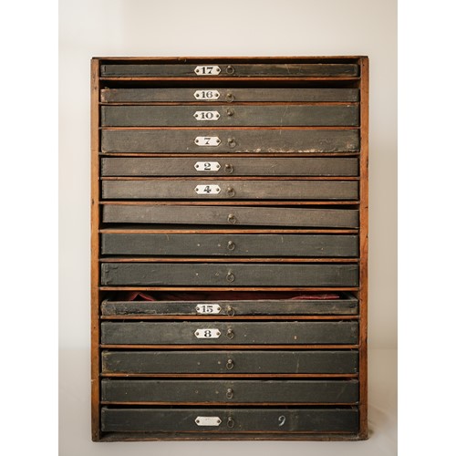 Zoological or Collectors Chest of Draws