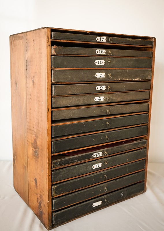 Zoological or Collectors Chest of Draws-modern-decorative-1053-04-zoological-chest-of-draws-5-main-638037723583417648.jpg