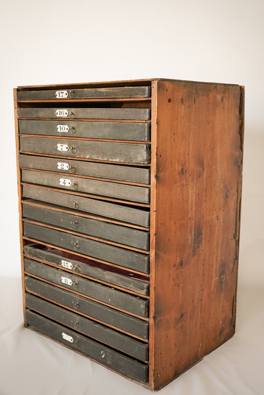 Zoological or Collectors Chest of Draws-modern-decorative-1053-04-zoological-chest-of-draws-7-main-638037723604823761.jpg