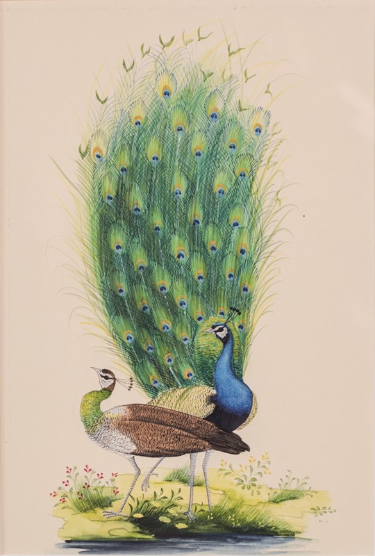 Pair Of Peacock Goauches-modern-decorative-1148-two-peacocks-gauches-1-main-637673002325585930.jpg