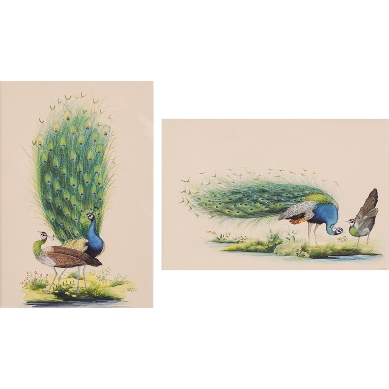 Pair Of Peacock Goauches-modern-decorative-1148-two-peacocks-gauches-both-square-main-637673002051211869.jpg