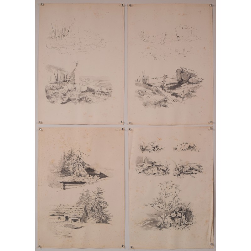 Set Of 11 Pencil Studies Of Nature-modern-decorative-1288-nature-drawings-x11-1-square-main-637896975294199492.jpg