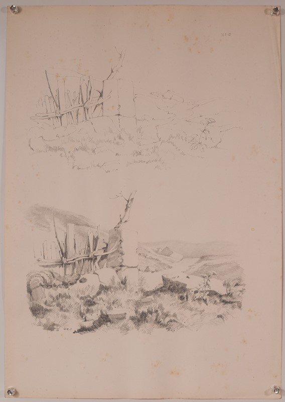 Set Of 11 Pencil Studies Of Nature-modern-decorative-1288-nature-drawings-x11-2-main-637896976241218959.jpg