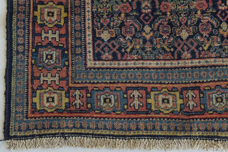 Handwoven Bidjar Tekab Rug-modern-decorative-1300-rug-7-main-637889185701092161.jpg