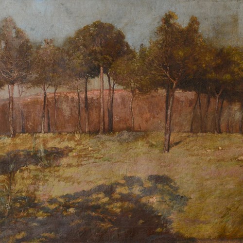 Golden Landscape With Distant Settlement, Reminiscent Of Orange Road