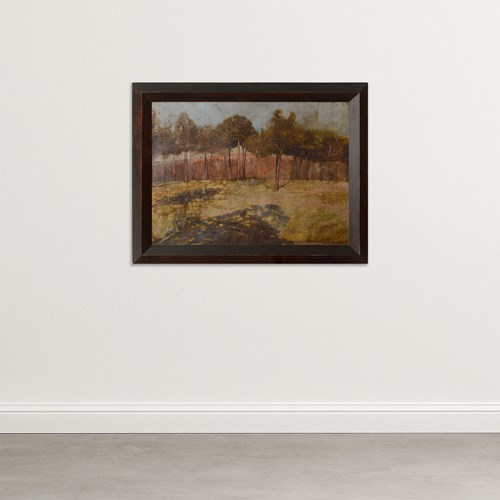 Golden Landscape With Distant Settlement, Reminiscent Of Orange Road