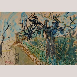 Winter Vineyard Path With Bare Tree...