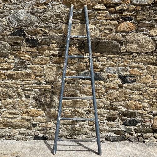 Vintage French Ladder - Blue