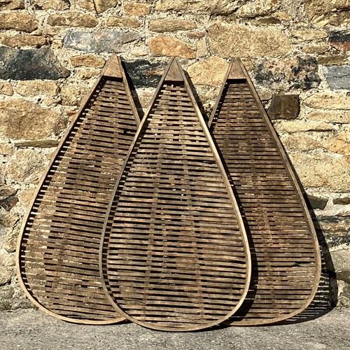 French Prune Drying Racks