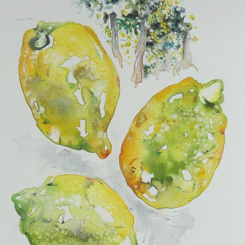 'Lemons And Lemon Grove' Watercolour
