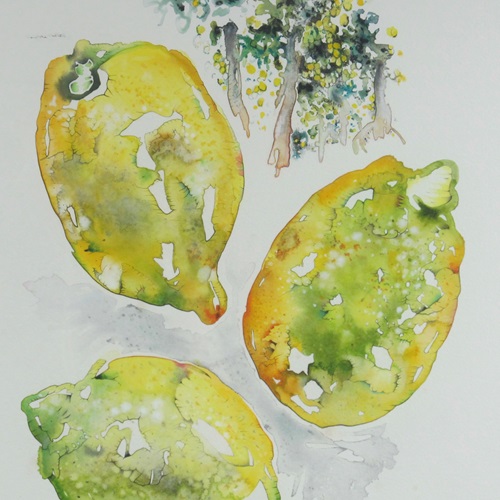 ‘Lemons And Lemon Grove’ Watercolour