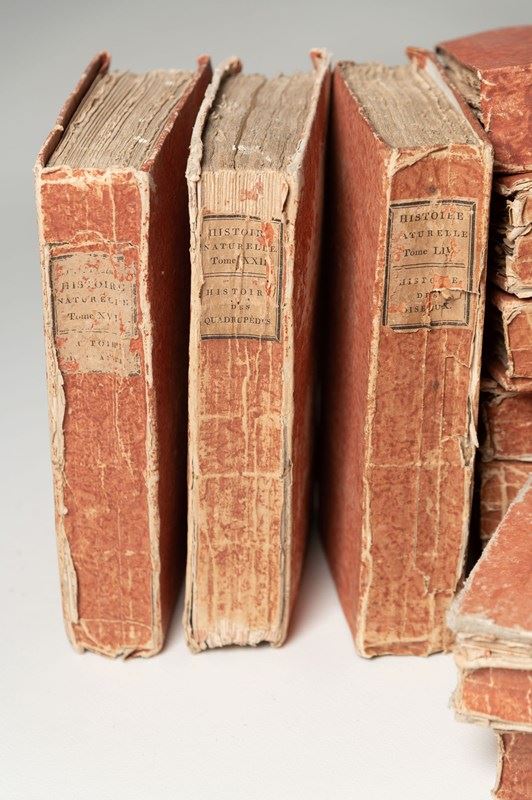 A Collection Of 30 Antique French Books -nikki-page-antiques-3d04e47c-42da-4d18-8027-00dbcbc6359a-main-638206052438050531.jpeg