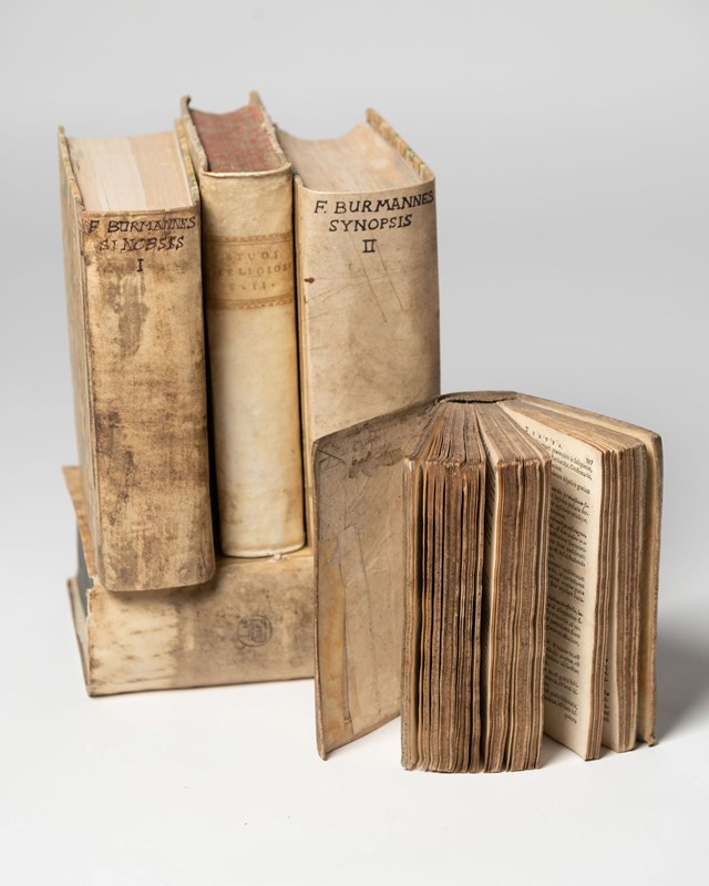 A Collection Of 5 Antique Vellum Books-nikki-page-antiques-491c92cb-c9c1-44ff-bbf9-8339d38a1876-main-638114743171515769.jpeg