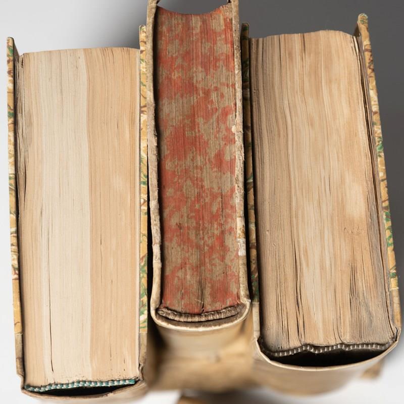 A Collection Of 5 Antique Vellum Books-nikki-page-antiques-54b8d57a-e468-4608-bc50-f1c07200c6d5-main-638114743236358624.jpeg