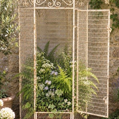 Antique French Birdcage