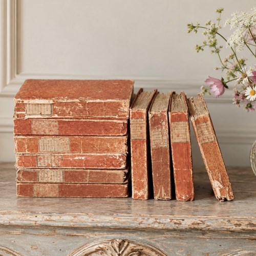10 Antique French Books 