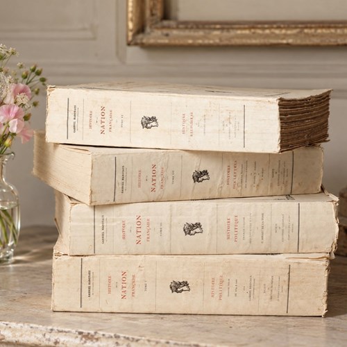 Four Large Antique French Books