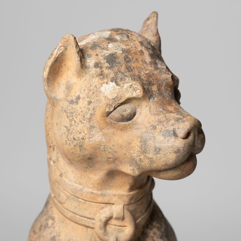 Antique Toulouse terracotta dog-nikki-page-antiques-npjuly22-303-main-637928079816429950.jpg
