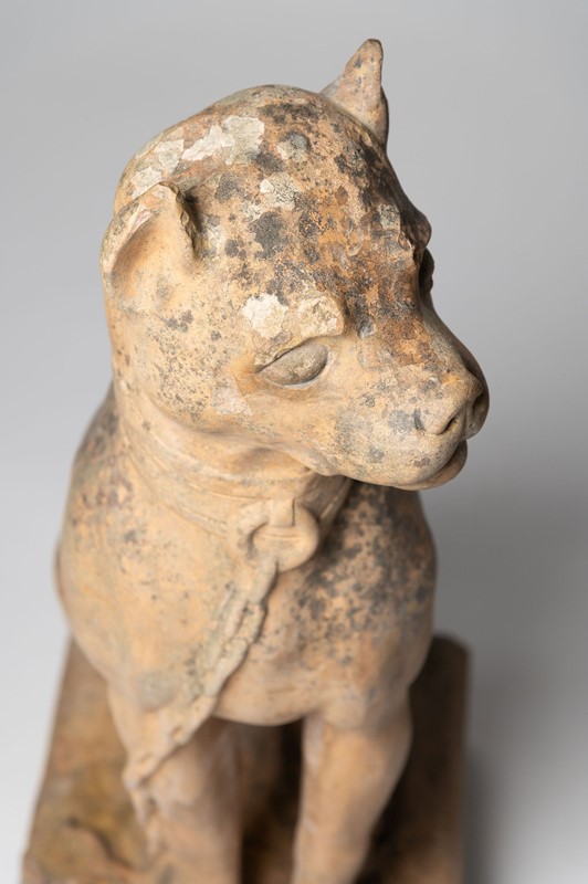 Antique Toulouse terracotta dog-nikki-page-antiques-npjuly22-304-main-637928079586735122.jpg